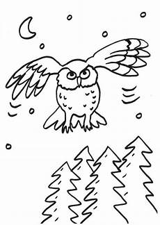malvorlage fliegende eule kostenlose malvorlage eulen fliegende eule zum ausmalen malvorlage fliegende eule kostenlose malvorlage eulen fliegende eule zum ausmalen