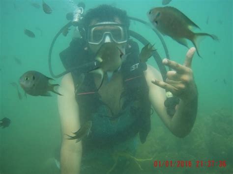 TARKARLI SCUBA DIVING - All You Need to Know BEFORE You Go 2026 (with ...