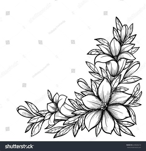 Beautiful Black White Branch Flowers Perfect stockillustratie 229828210 ...