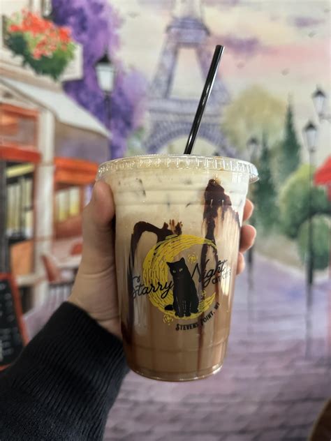 Starry Night Cat Café Starry Night Cat Cafe