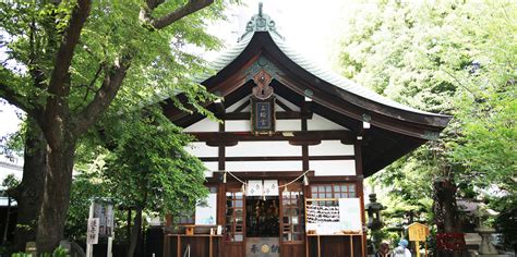 Image result for jinja