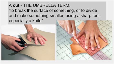 Different types of CUTS - #30 SPECIAL Words of the Day for bajlinguals ...