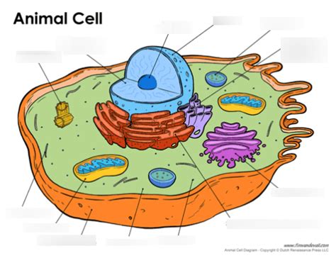 Learning Biology 的图像结果