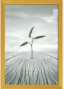 Poetic Image Of A Little Branch Paper Print - Abstract posters in India ...