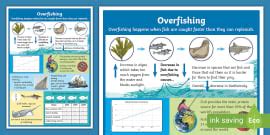 What is Overfishing (For Kids)? | Twinkl - Twinkl