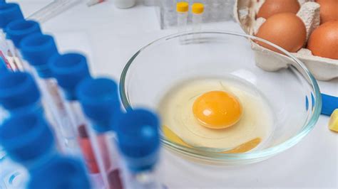 Does Cooking Kill Salmonella In Eggs at Max Kim blog