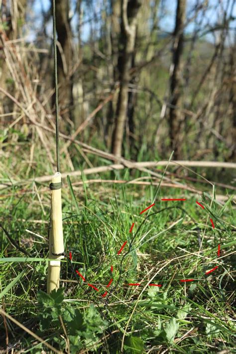 Traps and Snares Archives - Survival Sullivan