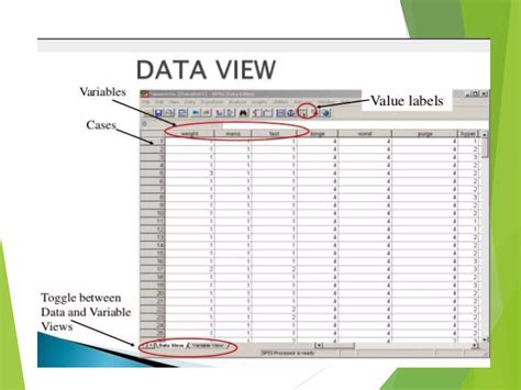 Image result for SPSS User Guide