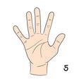 5 in Sign Language 的图像结果