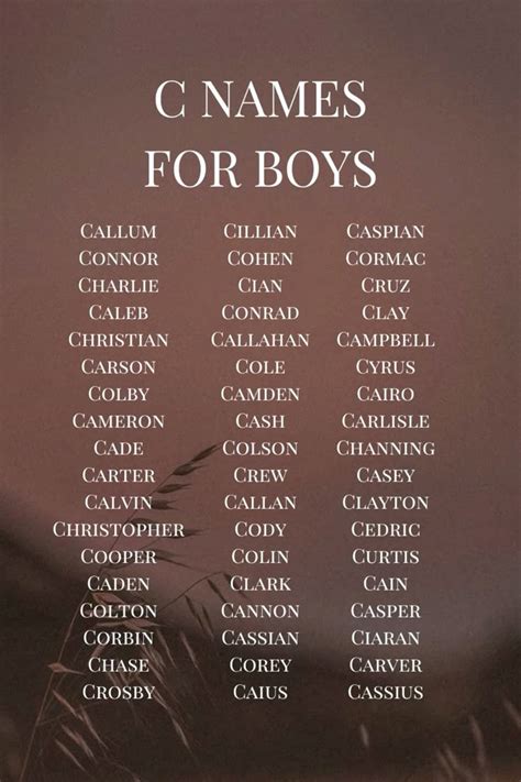 Pin by syd on Helpful | Baby names, Baby boy names, Boy names