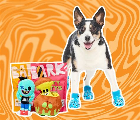 BarkBox & Super Chewer Coupon: FREE Crocs For Dogs With First Box of ...