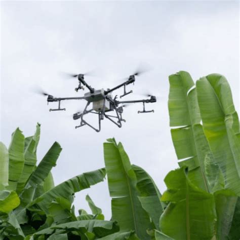 DJI Agras T30 Drone