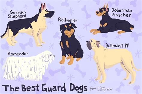 Types Of Guard Dogs 11 Best Guard Dogs: Top Dog Breeds For Protection