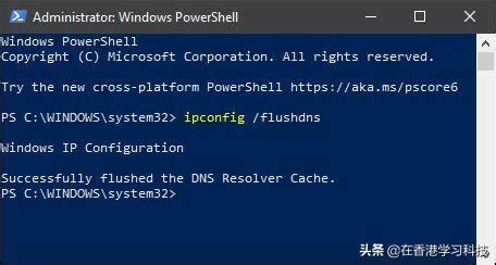 如何在 Windows 11 上刷新 DNS-系统之家