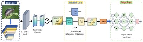 An Advancing GCT-Inception-ResNet-V3 Model for Arboreal Pest Identification