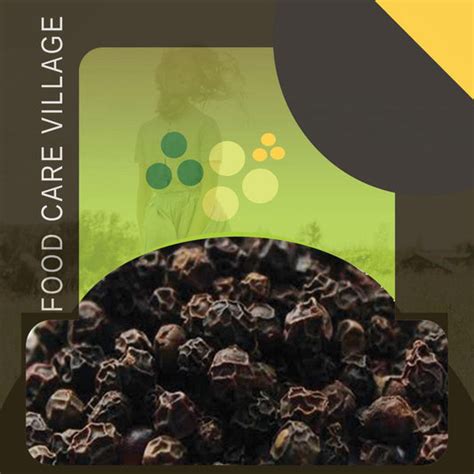 Indian Spices – Food Care INDIA