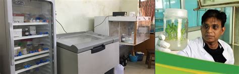 Dr. Someswar Rao Sagurthi Lab