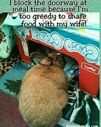 Image result for Bunny Sharing Tea