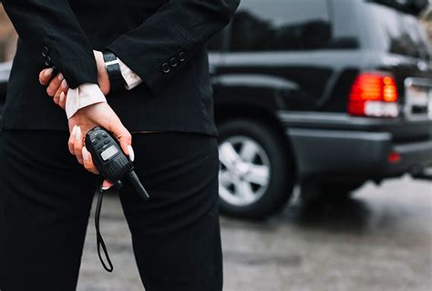 V – SHIELD SECURITY SERVICES