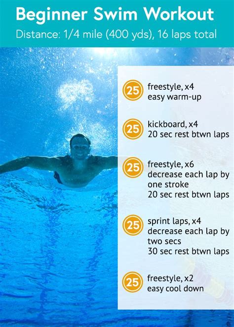 Swimming Exercise Routine 的图像结果