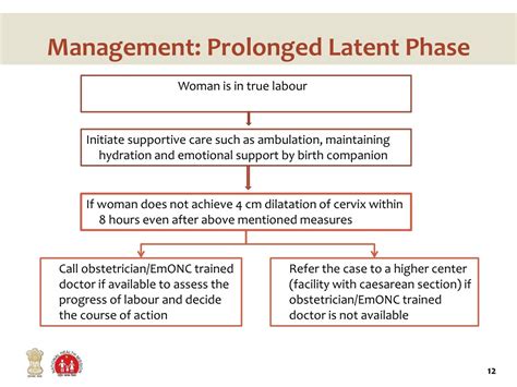 PPT - Prolonged and Obstructed Labour PowerPoint Presentation, free ...