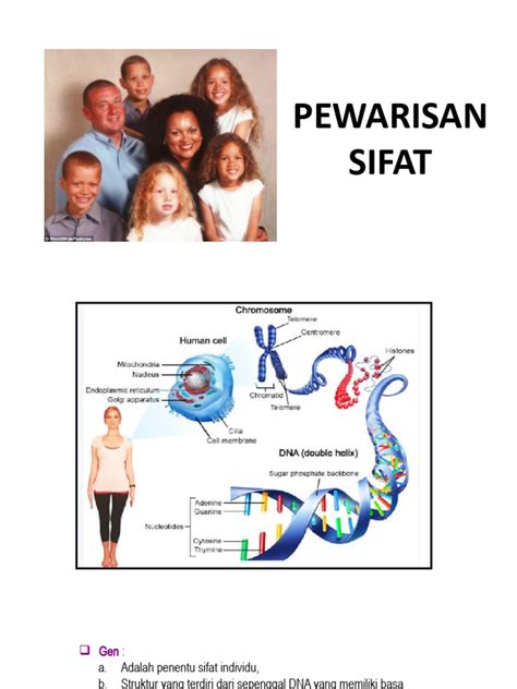 Menguasai Pewarisan Sifat Kelas 9: Contoh Soal dan Pembahasan Lengkap