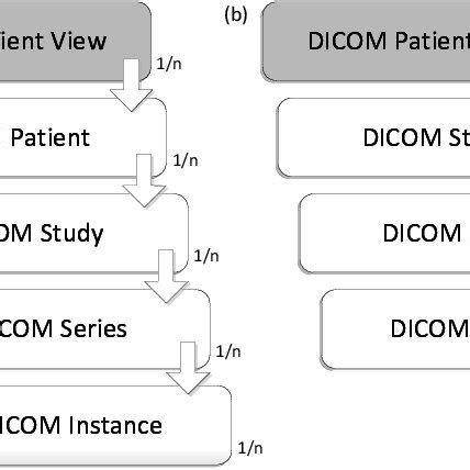 DICOM Query Retrieve Tool 的图像结果