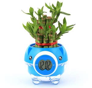 Nurturing Green Two Layer Bamboo Plant Price in India - Buy Nurturing ...