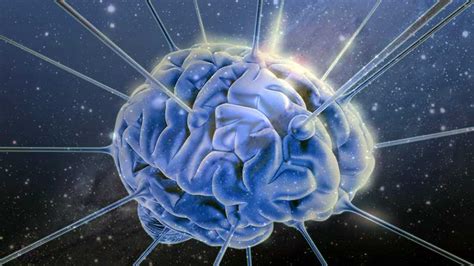Brain Science.com 的图像结果