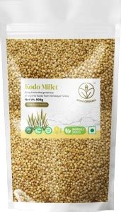 Shiva Organic Kodo Millet - Himalayan Whole Bean Kodo Millet Price in ...