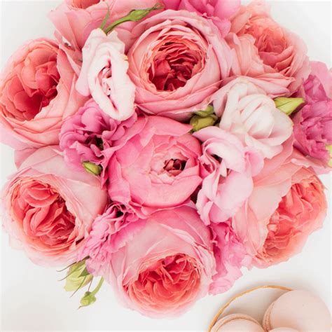 Image result for How to Begin Blog