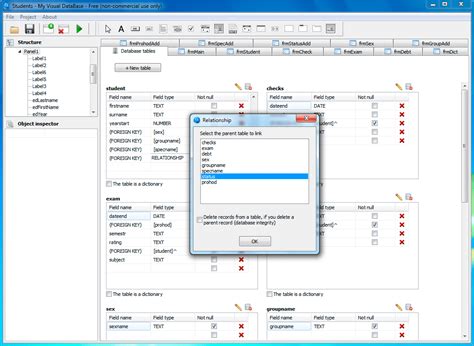 Visual Database Software 的图像结果