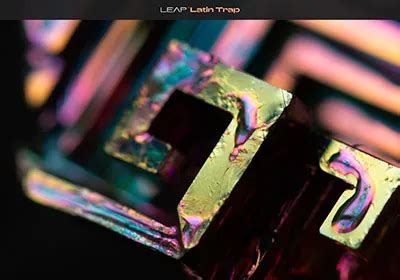 Image result for Free Download Native Instruments Leap