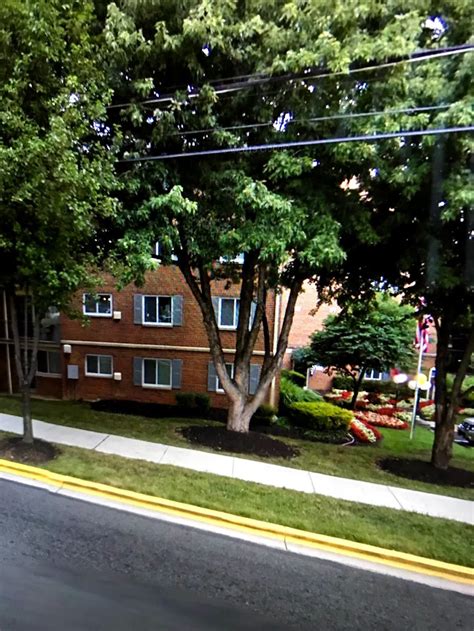 Bladensburg High School - 4200 57th Ave, Bladensburg, MD 20710 - Hours ...