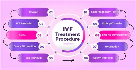 Image result for IVF Process Explained