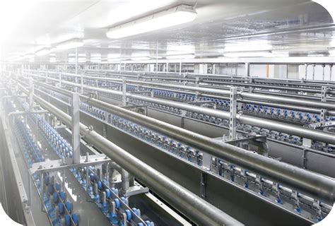 Baiada Builds a Symbol of Progress Australian Trendsetter Ready to ...