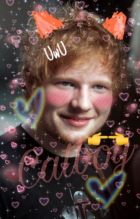 Ed sheeran as a catboy Funny Profile Pictures, Reaction Pictures, Mark ...