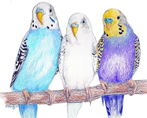 Brave New Girls: Adventures of Gals and Gizmos eBook : Fan, Mary ...