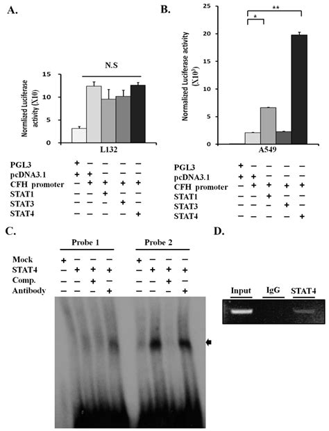 Upregulation of Complement Factor H by SOCS-1/3–STAT4 in Lung Cancer