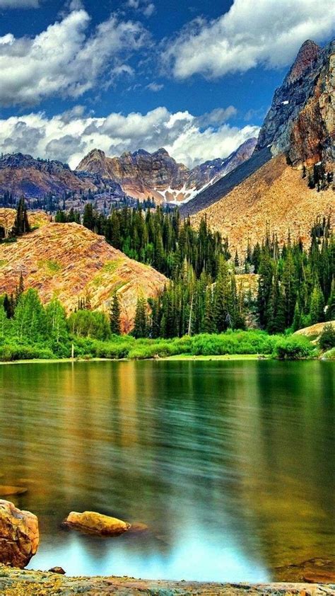 Image result for Colorado O2 Sensor Bank One