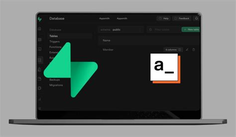 Web Application with Appsmith Tutorial 的图像结果