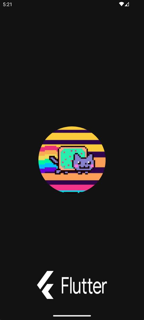 Image result for Flutter Splash Screen Animation