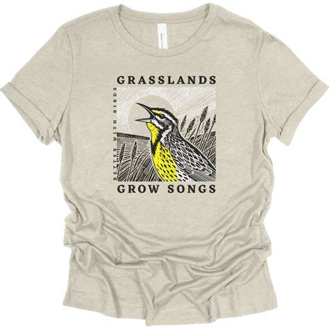 Are Birds Mammals? (No, But It's Weirder Than You Think) – Better With ...