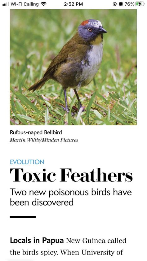 Weaponized Drones Explained 的图像结果