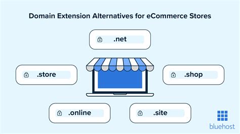 Net vs Com: Which Should You Choose? - Bluehost Blog