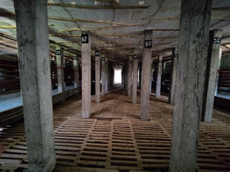 Why Potato Farmers in Agra Are Demanding a Vodka Distillery - The Wire