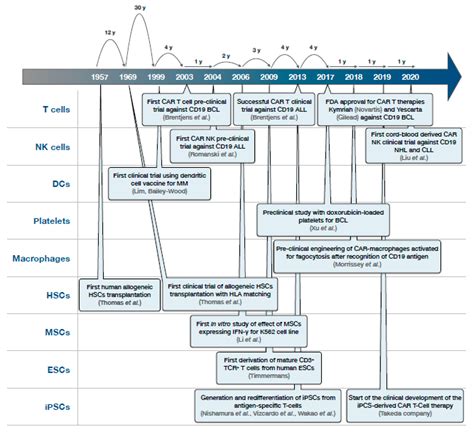 A Bird’s-Eye View of Cell Sources for Cell-Based Therapies in Blood Cancers