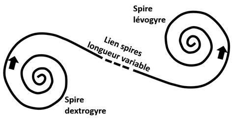 Image result for Comment Lancer Un Vortex