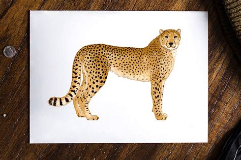 Image result for How Does a Time Coded Transcript Look