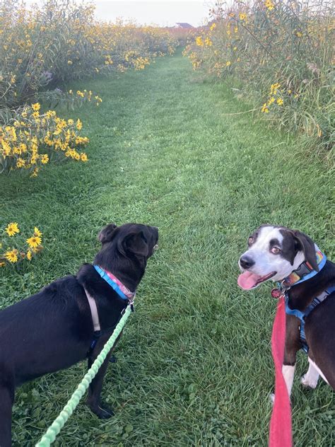 Governor Nelson State Park